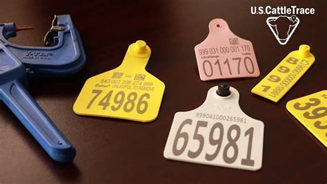 rfid cattle tag registration|cattle identification tags.